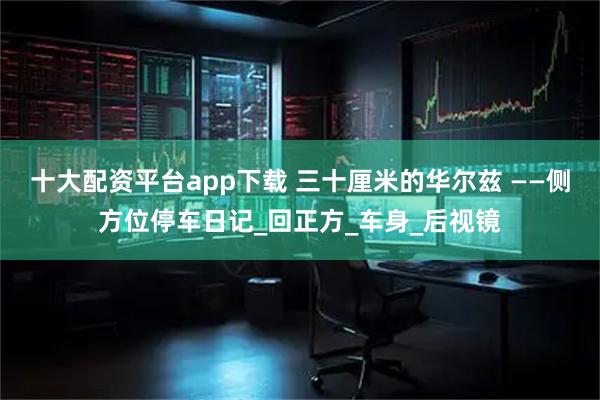 十大配资平台app下载 三十厘米的华尔兹 ——侧方位停车日记_回正方_车身_后视镜